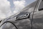 Ford F-150 Platinum by Exclusive Motoring 2015 года